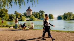 Stora dammen i Pildammsparken /Foto Werner Nystrand Flora och fauna i Pildammsparken
